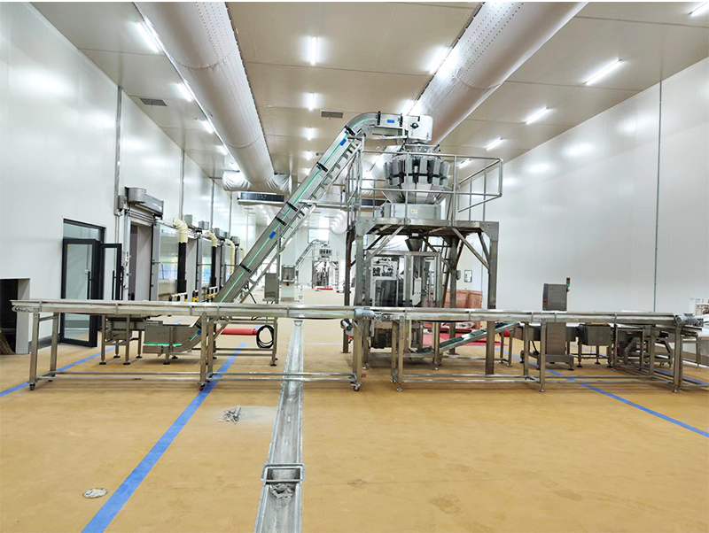 makîneya pakkirinê ya otomatîkî ya xwarina forzen